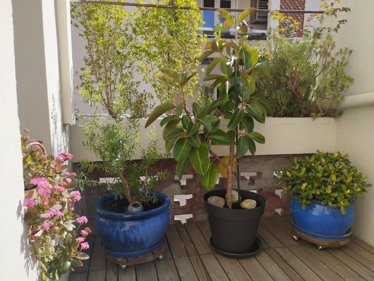 Bel Appartement Privatif 페르피냥 외부 사진